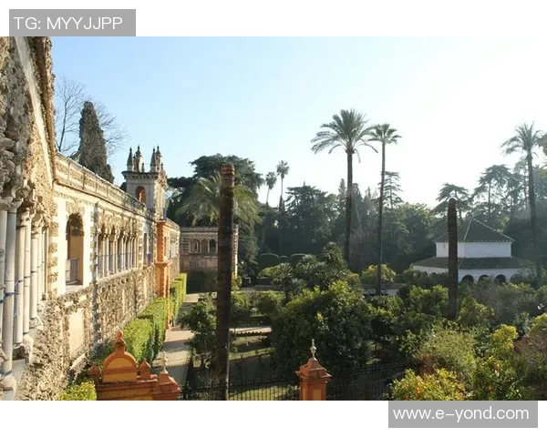 马拉加与塞维利亚精彩对决直播全程回顾与分析